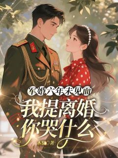 苏婉婉陆霖川章节免费阅读