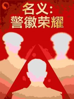 名义：警徽荣耀小说的书名是什么