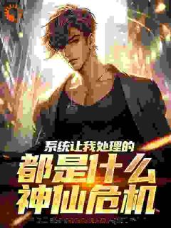 系统让我处理的，都是什么神仙危机（全本）苏岩张雪莹完整章节列表免费阅读