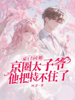 豪门闪婚，京圈太子爷他把持不住了小说何念念薛以怀最新章节阅读