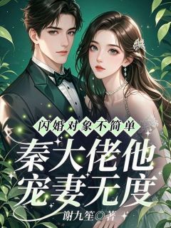 盛嫣秦彧小说(闪婚对象不简单,秦大佬他宠妻无度)_盛嫣秦彧小说最新章节