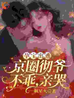 孕宝出逃，京圈彻爷：不乖，亲哭小说的书名是什么-暗夜阅读网