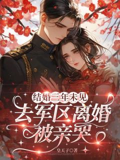 结婚三年未见，去军区离婚被亲哭小说(完本)-黎雁孟泽无错版阅读