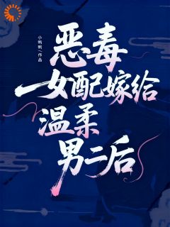恶毒女配嫁给温柔男二后【全章节】安泠沈临砚完结版免费阅读-暗夜阅读网