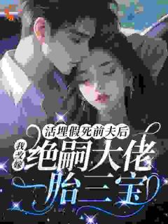 木知心写的小说活埋假死前夫后，我改嫁绝嗣大佬一胎三宝林婉宁周淮安全文阅读-暗夜阅读网