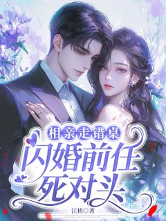 高质量小说相亲走错桌，闪婚前任死对头在线试读