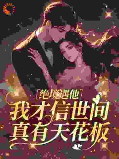 绝境遇他，我才信世间真有天花板主角是许安宁沈烬川小说百度云全文完整版阅读