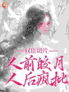 权臣切片:人前皎月,人后疯批在线全文阅读-主人公萧宁昭萧砚辞小说