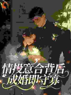 爆款小说情投意合背后,成婚即守寡在线阅读-沈青禾陆战北免费阅读