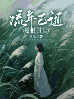 林沫林锋小说全文免费阅读流年已逝，爱恨归尘全文免费阅读