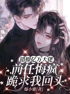 主角叶南意谢淮宴小说爆款错撩亿万大佬，前任悔疯跪求我回头完整版小说