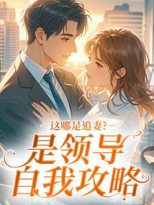 这哪是追妻？是领导自我攻略陶晶陆励城最新章节在线阅读