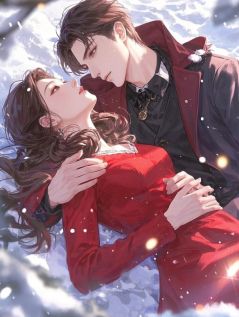 主角是叶峥傅芸芸的小说雪覆离枝寂无声最完整版热门连载