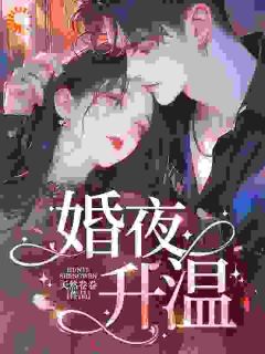 婚夜升温无弹窗在线阅读