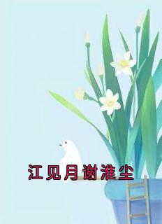 抖音爆款江见月谢淮尘小说免费阅读