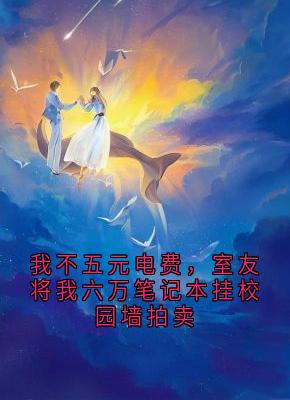 好书推荐我不五元电费,室友将我六万笔记本挂校园墙拍卖林雪李娟全文在线阅读