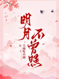 全章节小说明月不曾照大雨吃小雨最新阅读