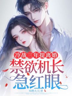 冷战三年提离婚，禁欲机长急红眼免费阅读全文，主角沈庭初裴屿之小说完整版最新章节