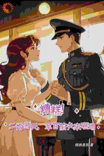 熬夜也要看完的糟糕！二婚当天，军官前夫来砸场小说推荐