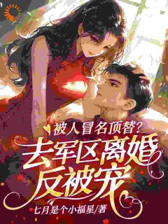 私藏读物被人冒名顶替？去军区离婚反被宠沈书敏江承洲完结版免费阅读