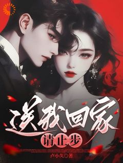 卢小久的小说送我回家请止步全文阅读