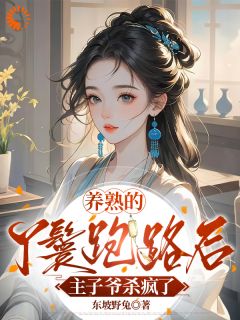 快手主子千里追妻，暖房丫鬟不原谅！小说全本章节大结局