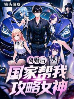 老书虫力荐离婚后，国家帮我攻略女神免费无弹窗阅读