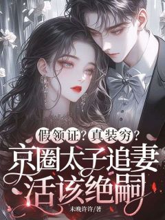 假领证？真装穷？京圈太子追妻活该绝嗣苏晚霍瀚琛全章节目录免费阅读