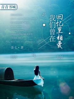 正版小说我们曾在回忆里相爱乔晚莺沈从安在线免费阅读