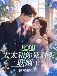 抖音完结顾总,太太和你死对头联姻了沈岁晚霍砚修(全文在线阅读)