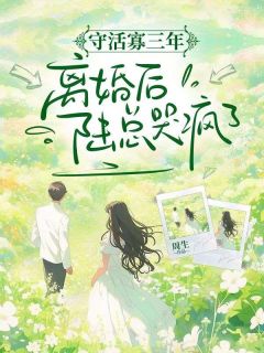 守活寡三年,离婚后陆总哭疯了林鹿陆见深-周生小说