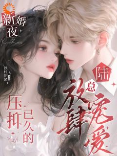 新婚夜,压抑已久的陆总放肆宠爱小说的书名是什么