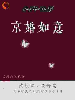 高质量小说京婚如意在线试读