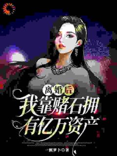 抖音爆款离婚后,我靠赌石拥有亿万资产完整小说(全文阅读)
