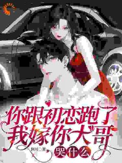 你跟初恋跑了，我嫁你大哥哭什么夏枝何以楼免费阅读-你跟初恋跑了，我嫁你大哥哭什么阿耳小说