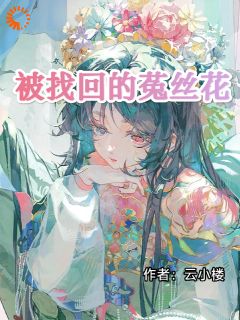 安宁裴晏小说被找回的菟丝花全文阅读