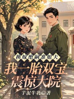 沈南乔傅毅珩小说哪里可以看 小说换嫁绝嗣准姐夫,我一胎双宝震惊大院全文免费阅读