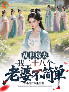 乱世选妻，我的老婆们不简单免费阅读全文，主角陆丰云汐槿小说