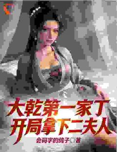 大乾第一家丁，开局拿下二夫人小说-林凡柳若烟全篇阅读