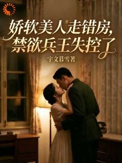 无广告小说娇软美人走错房，禁欲兵王失控了-江软秦野在线阅读
