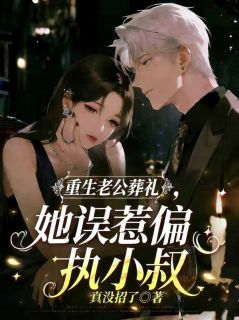 重生老公葬礼，她误惹偏执小叔（林暖傅宴）精彩小说目录阅读