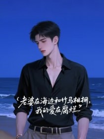 林昊苏婉老婆在海边和竹马相拥，我的爱在腐烂完结版小说全文免费阅读