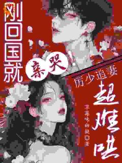 快手热推分手五年，傲娇前任他自我攻略了小说主角林浅雾厉淮峥在线阅读-暗夜阅读网