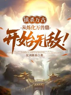 独家镇杀万古：从炼化万兽鼎开始无敌小说-主角王尘林雪琪全文免费阅读