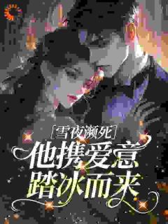 主角许矜商时序小说完整版-雪夜濒死，他携爱意踏冰而来免费阅读全文