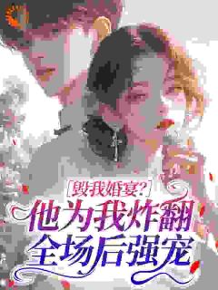 老书虫书荒推荐毁我婚宴?他为我炸翻全场后强宠txt小说阅读