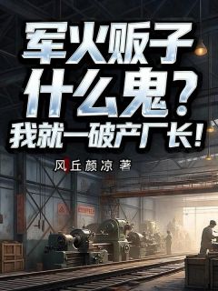 军火贩子什么鬼？我就一破产厂长！by风丘颜凉免费阅读小说大结局