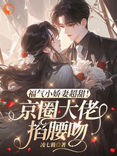 (抖音小说)沈舒宁谢政屿小说全文阅读免费