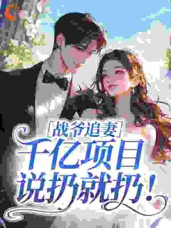 战爷追妻，千亿项目说扔就扔！小说最后结局，沈昭昭战北渊百度贴吧小说全文免费