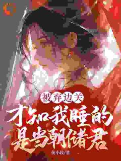 被弃边关，才知我睡的是当朝储君小说(完结)-洛轻芜萧君赫无删减阅读